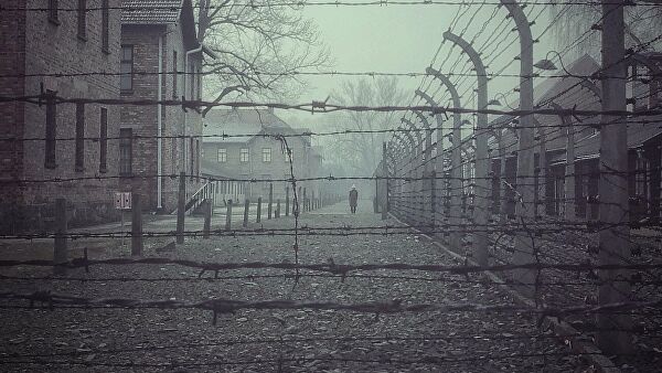 Здравые слова. Историк о призывах Валенсы признать правду об Освенциме
