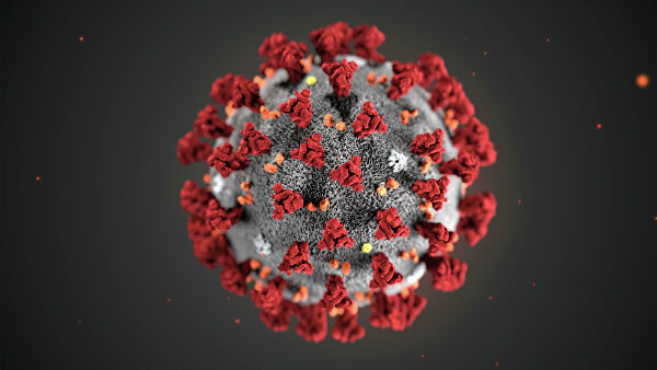 ВОЗ ожидает результаты двух тестирований препаратов от коронавируса
