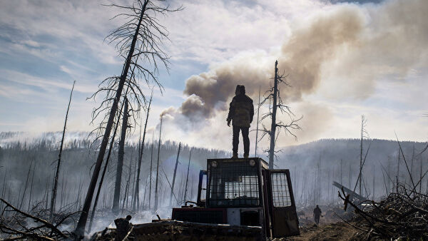 Жителям ЛНР запретили посещать леса из-за природных пожаров