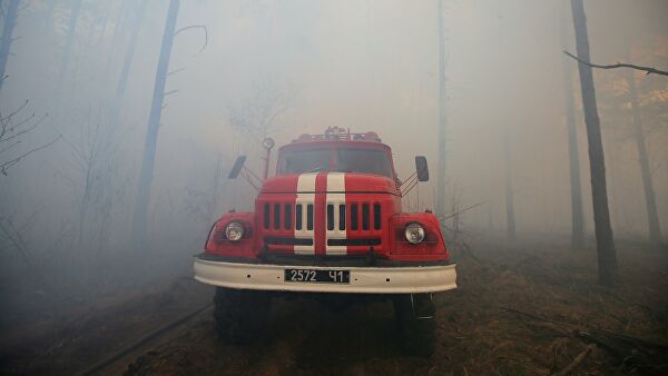 В зоне лесных пожаров в Луганской области не наблюдают открытого огня
