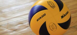 Качественный волейбольный мяч - какой он?