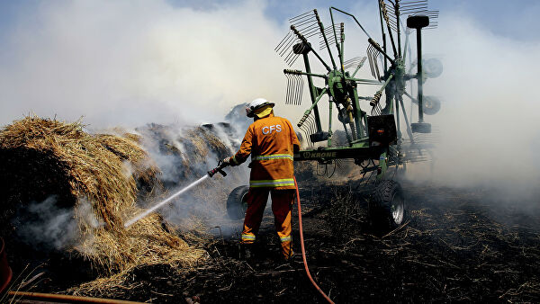 Новая Зеландия поможет Австралии в тушении лесных пожаров