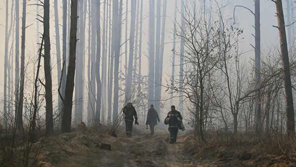 Спасатели заявили об улучшении ситуации с пожарами в Чернобыльской зоне