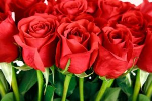 Цветы любви: как выбрать идеальный букет из роз